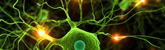 Parkinson